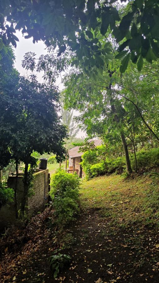 Lake Lyantonde Eco Campsite Original Fort Portal Luaran gambar